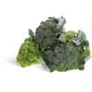 Brócolo (1 un = 450 g aprox) Brócolo (1 un = 450 g aprox)