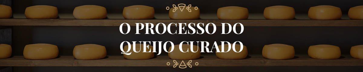 Banner Processo.jpg