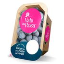 VALE ROSA Uva Preta Sem Grainha Embalada 400 g VALE ROSA Uva Preta Sem Grainha Embalada 400 g