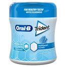 ORAL-B Pastilhas Elásticas Bottle Peppermint 68 g ORAL-B Pastilhas Elásticas Bottle Peppermint 68 g
